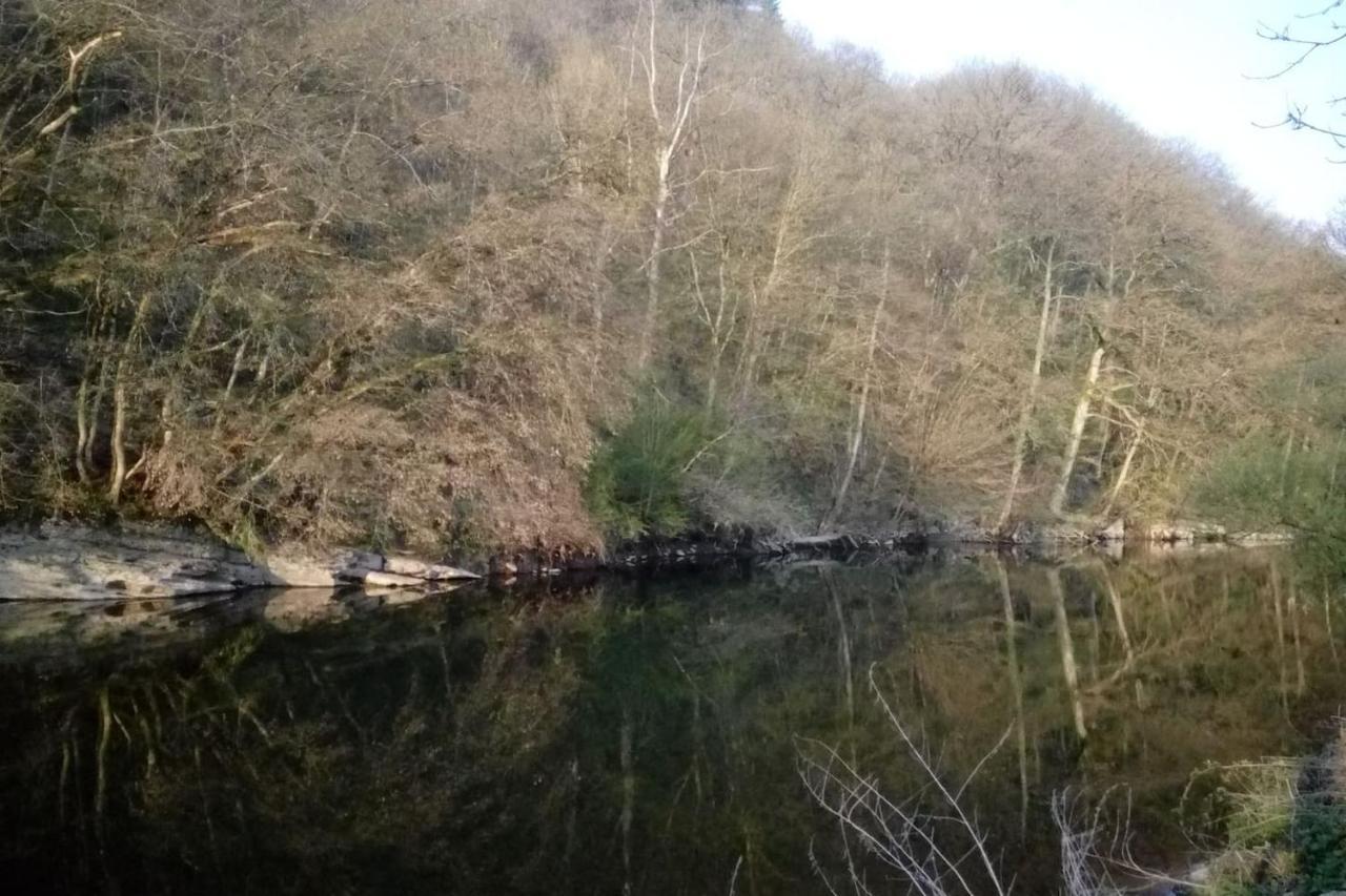 Chalet Siesta Is Rust & Natuur In Durbuy - Barvaux-Sur-Ourthe المظهر الخارجي الصورة