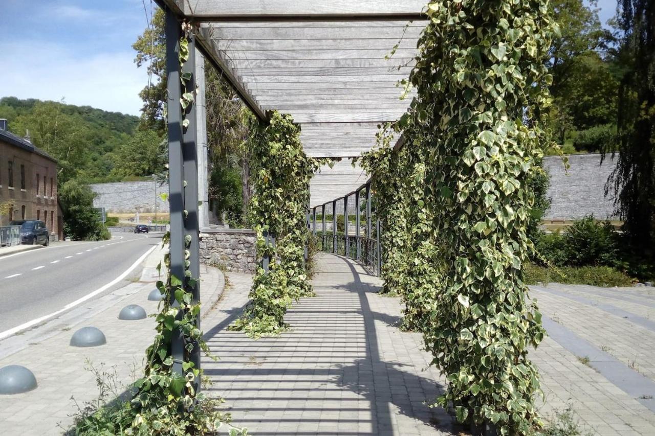 Chalet Siesta Is Rust & Natuur In Durbuy - Barvaux-Sur-Ourthe المظهر الخارجي الصورة
