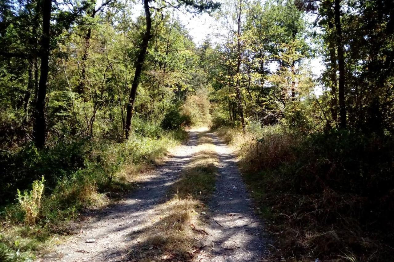 Chalet Siesta Is Rust & Natuur In Durbuy - Barvaux-Sur-Ourthe المظهر الخارجي الصورة